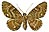 Klicka p&aring; bilden f&ouml;r att se en st&ouml;rre bild