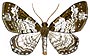 Klicka p&aring; bilden f&ouml;r att se en st&ouml;rre bild